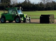 Freshly Harvested Tall Fescue Turf